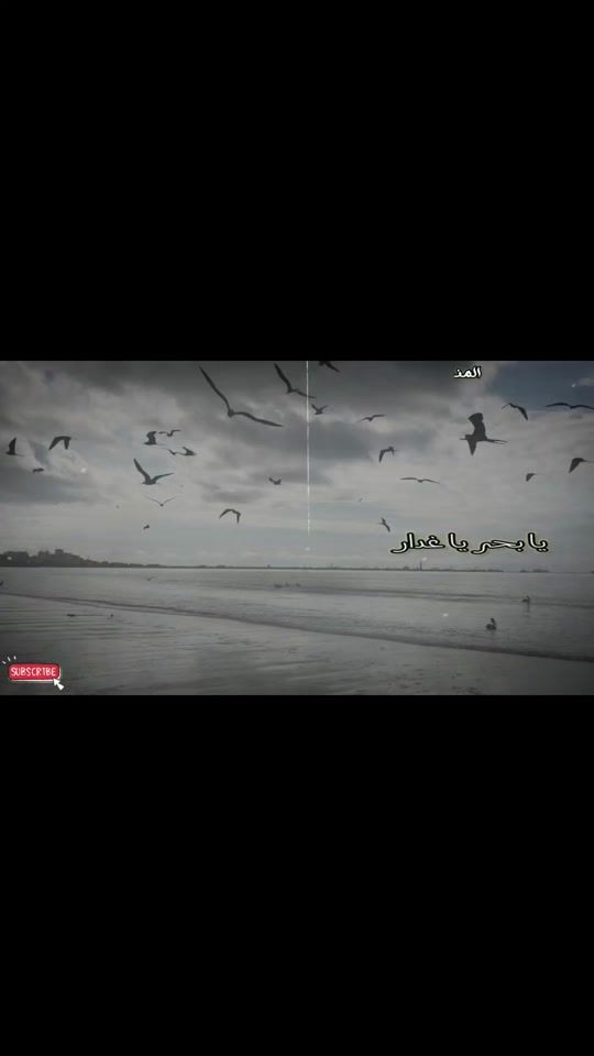 TikTok video thumbnail by kamelabuu