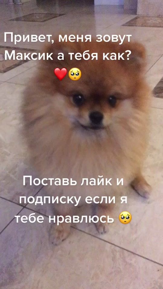 TikTok video thumbnail by arkhipov_mat