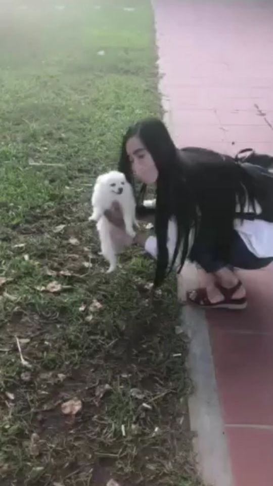 TikTok video thumbnail by ah256289