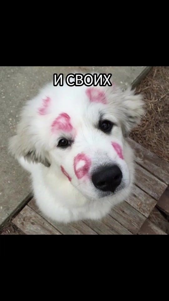 TikTok video thumbnail by marysekor