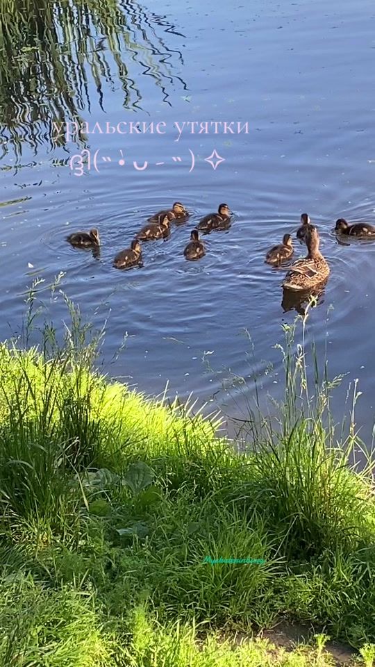 TikTok video thumbnail by myekaterinburg