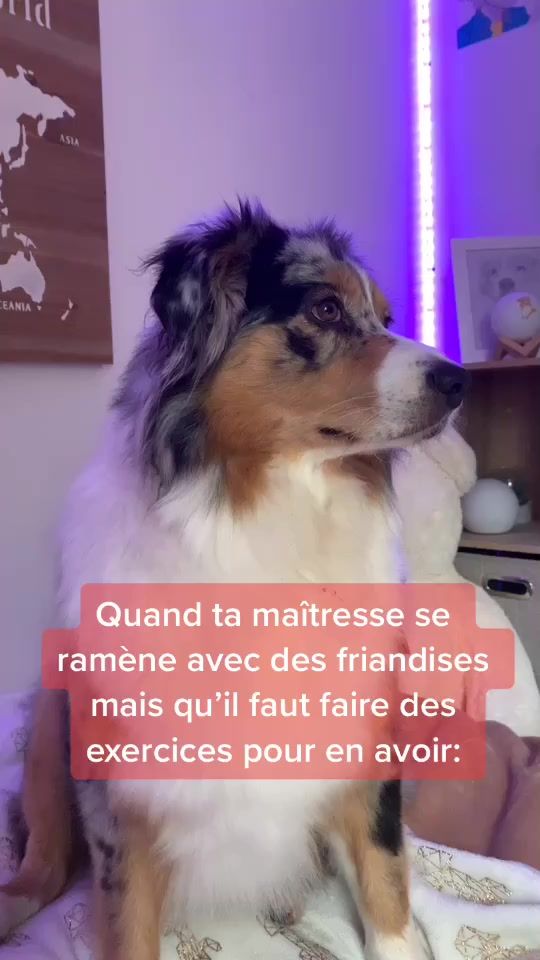TikTok video thumbnail by oziattitude