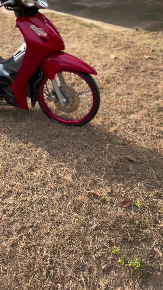 TikTok video thumbnail by bandhadit