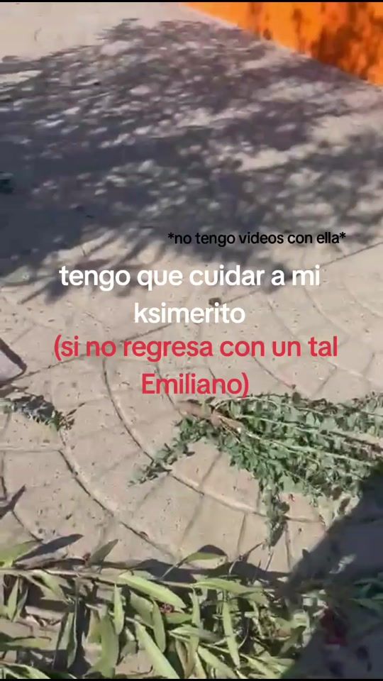 TikTok video thumbnail by lintarsxg