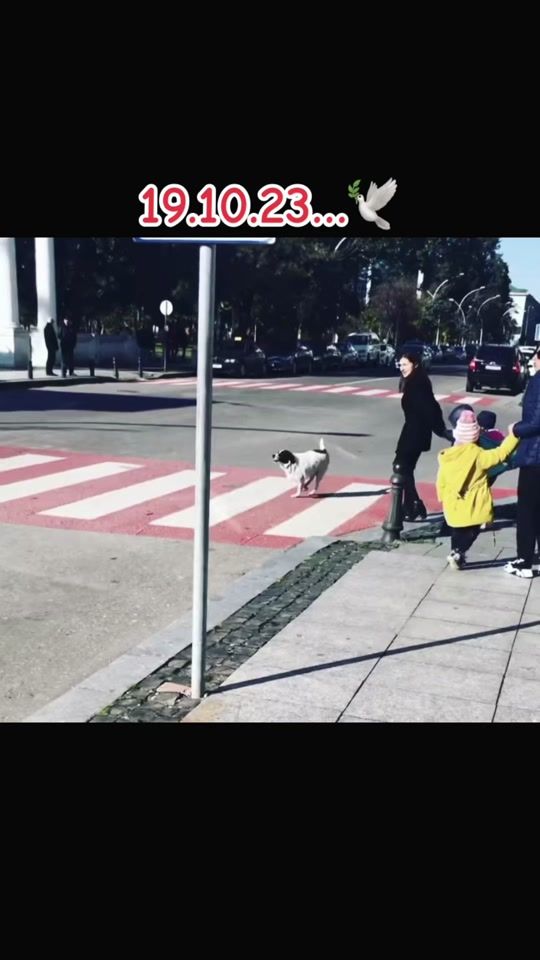 TikTok video thumbnail by kupa.official