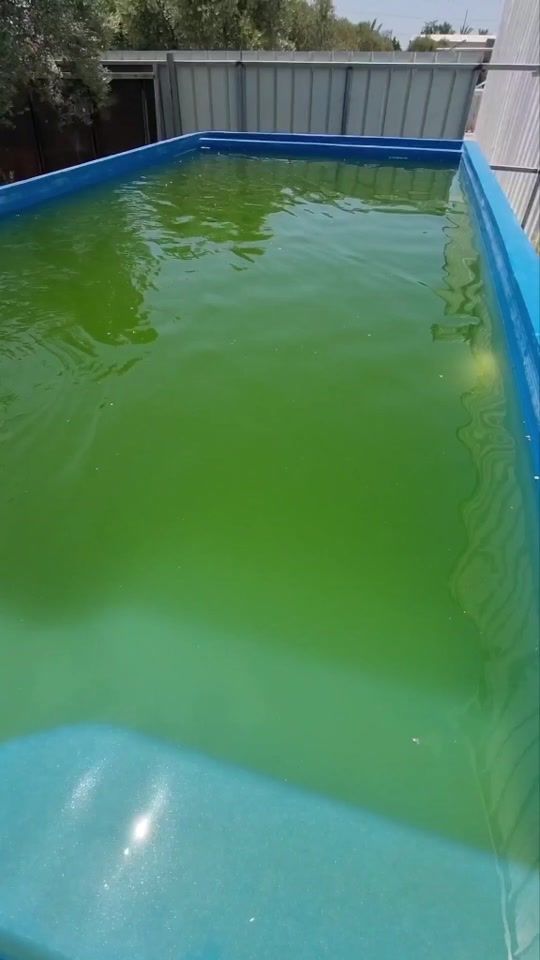 TikTok video thumbnail by ispaisrael1