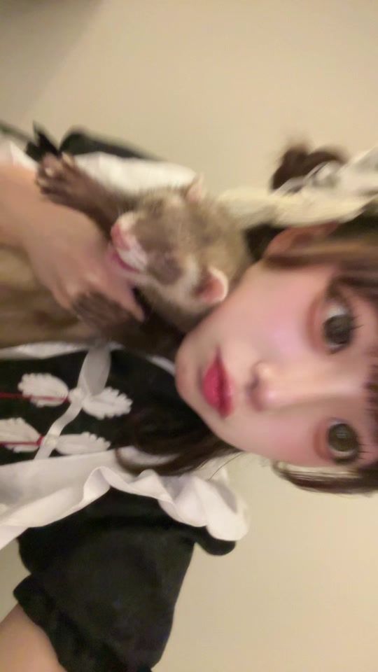 TikTok video thumbnail by ferret_minato