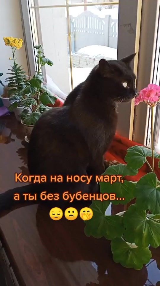 TikTok video thumbnail by nata18_18