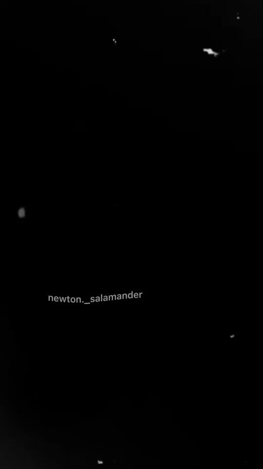 TikTok video thumbnail by newton._salamander