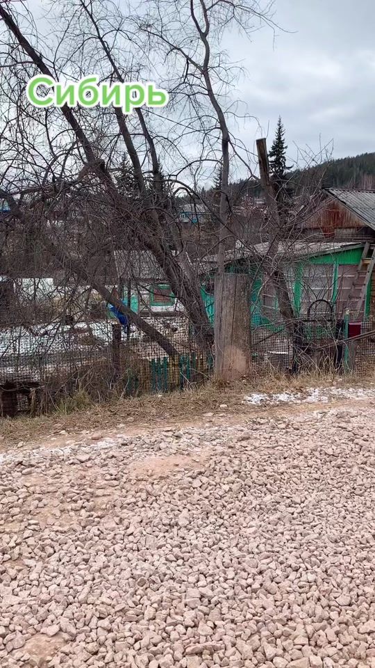 TikTok video thumbnail by natalyahar0