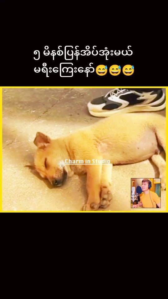 TikTok video thumbnail by minhte4gh