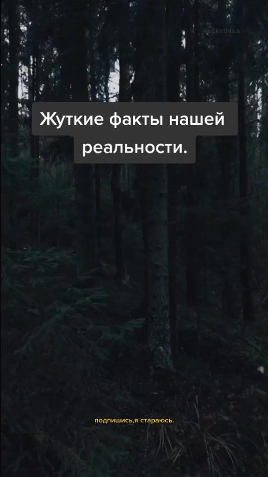 TikTok video thumbnail by ulikethis.s