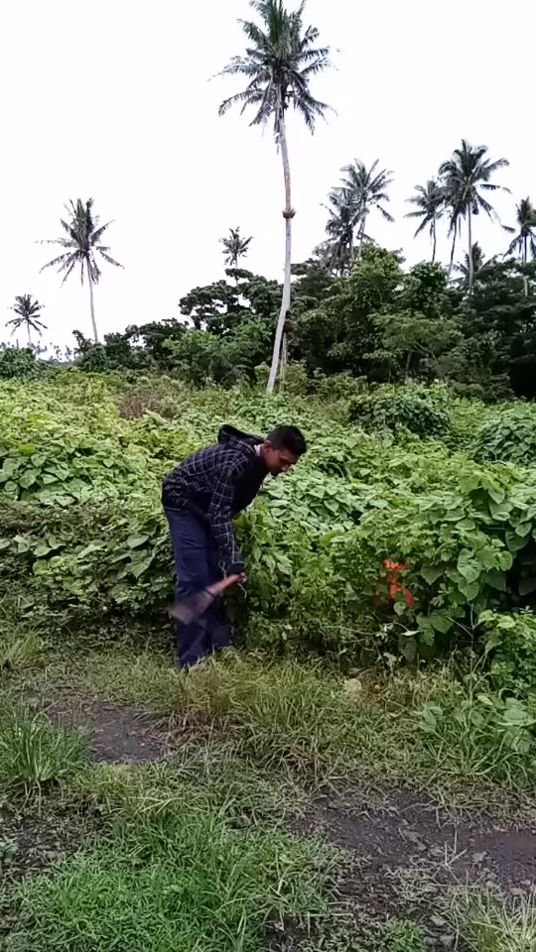 TikTok video thumbnail by pakaks143