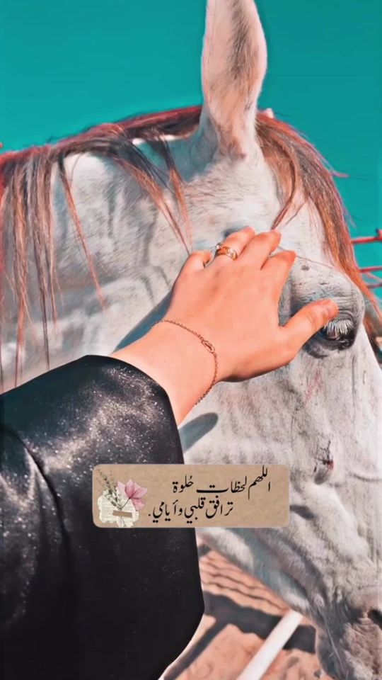 TikTok video thumbnail by um_saleh911