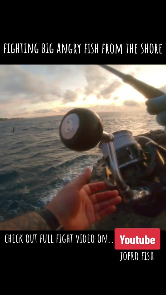 TikTok video thumbnail by joprofish