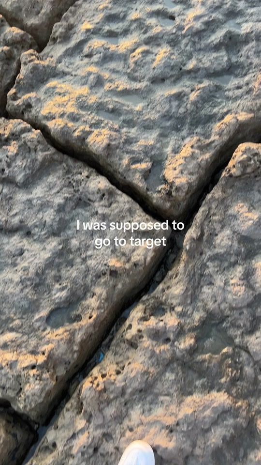 TikTok video thumbnail by sammyjanee