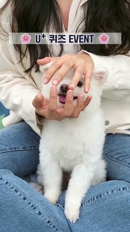 TikTok video thumbnail by lguplus_