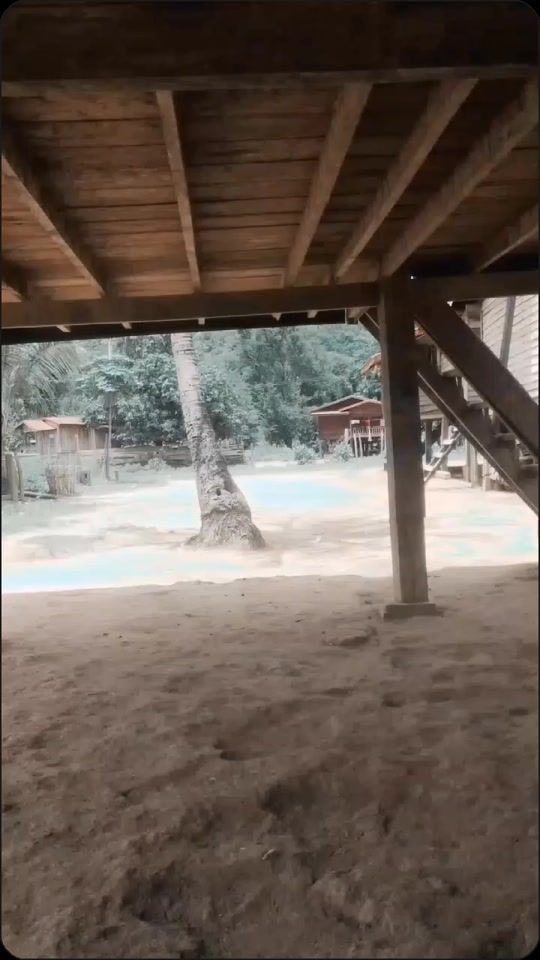TikTok video thumbnail by userhgdshuy