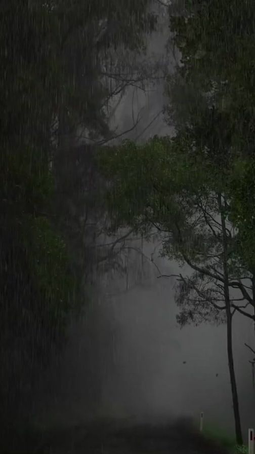 TikTok video thumbnail by no.li7