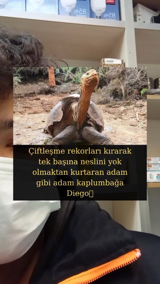 TikTok video thumbnail by orcuntunca