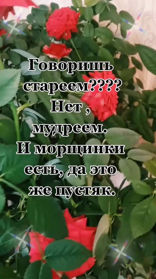 TikTok video thumbnail by alena_68rus
