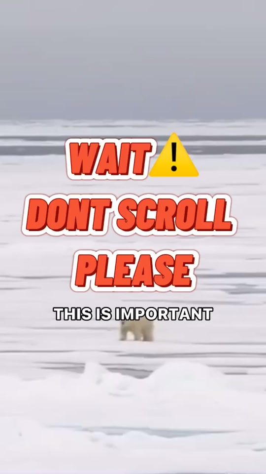 TikTok video thumbnail by astr0gui