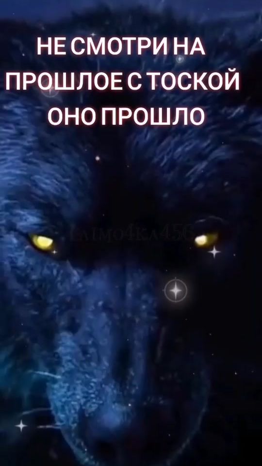 TikTok video thumbnail by dimon.volk142