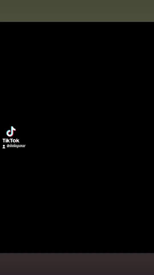 TikTok video thumbnail by skniloysonar