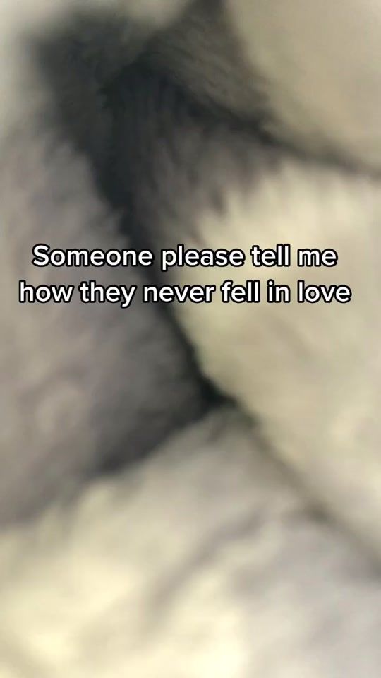 TikTok video thumbnail by petrovawolf