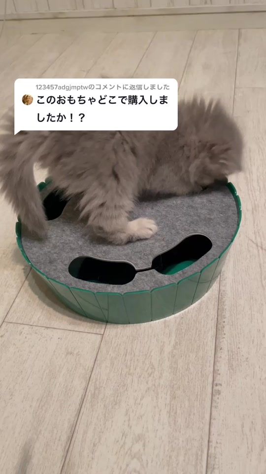 TikTok video thumbnail by pekowaneko