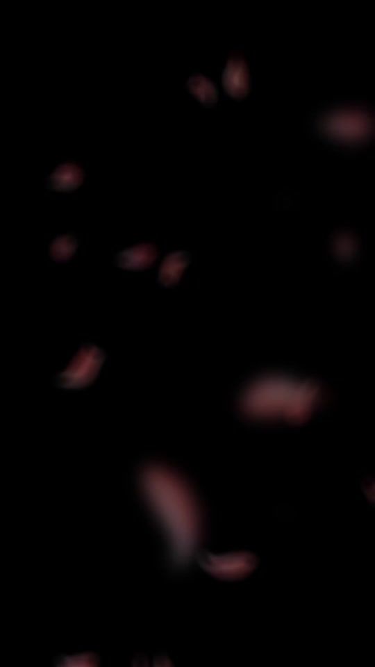 TikTok video thumbnail by sanaseningibilarvar
