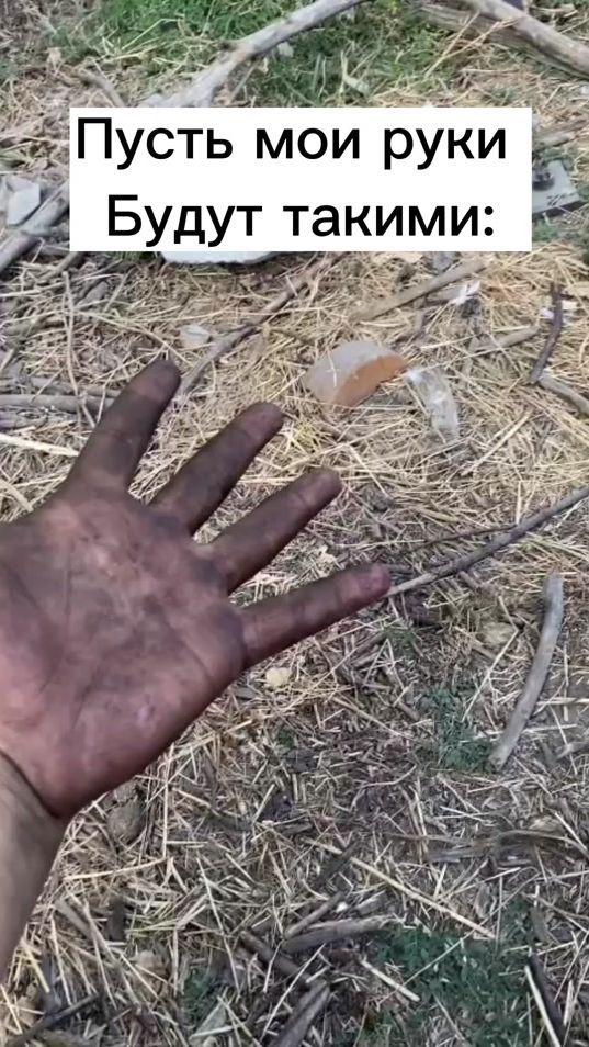 TikTok video thumbnail by aitmatov.077
