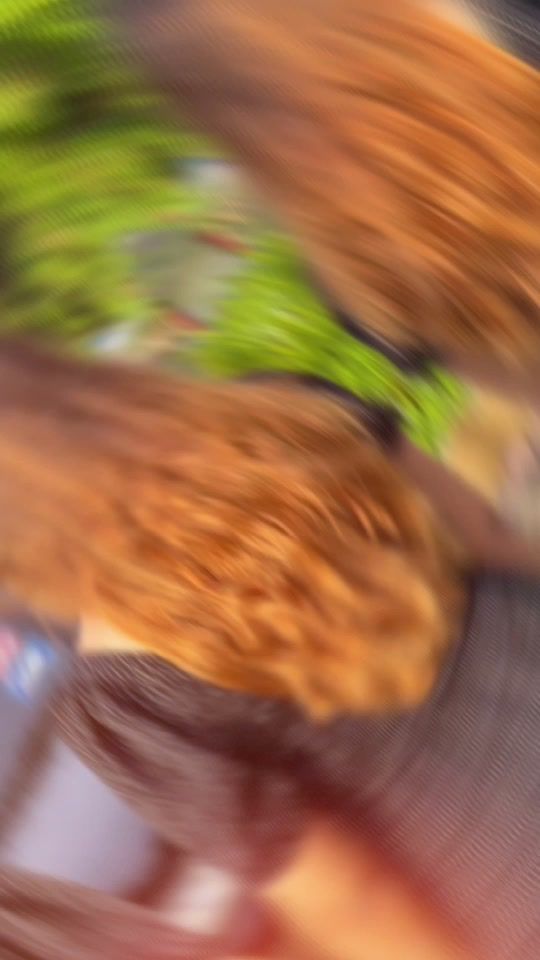 TikTok video thumbnail by _sniya