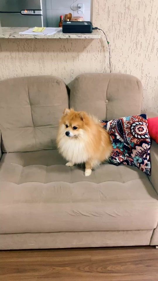 TikTok video thumbnail by jemimalopes3