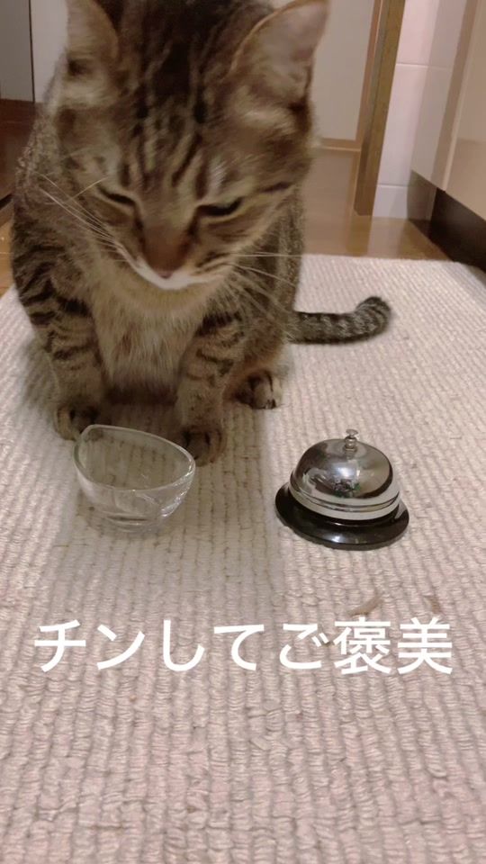 TikTok video thumbnail by sally_bel24