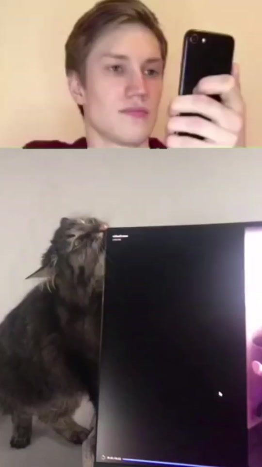 TikTok video thumbnail by gde_trafik
