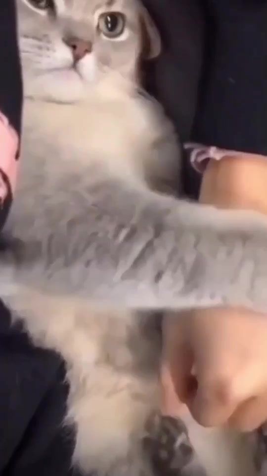 TikTok video thumbnail by mila190119
