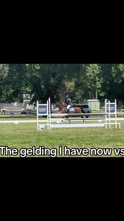 TikTok video thumbnail by graceequestrian24