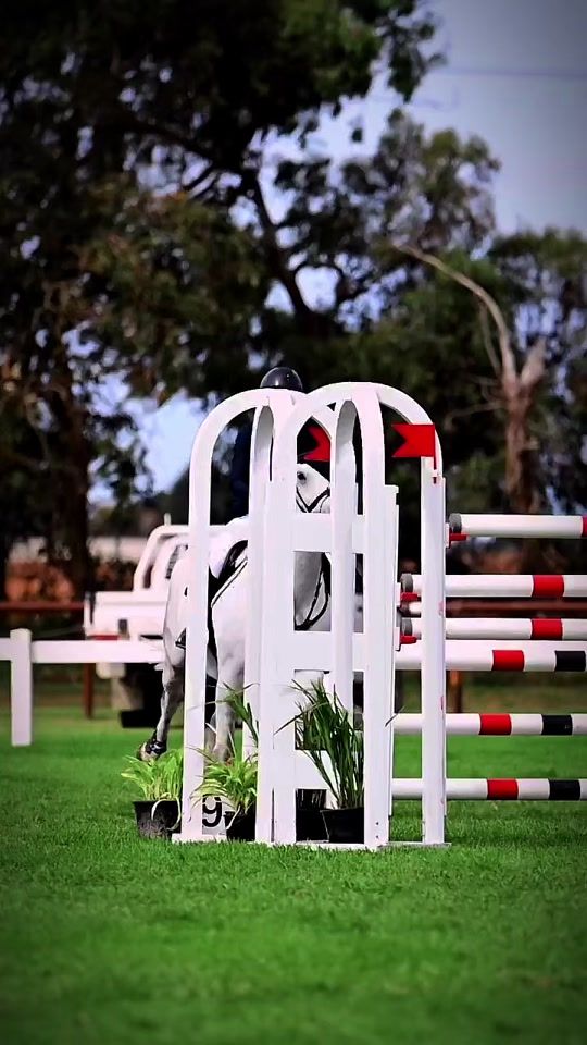 TikTok video thumbnail by _equineedits
