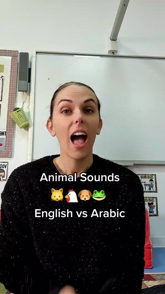 TikTok video thumbnail by kat_in_cairo