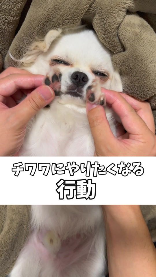 TikTok video thumbnail by umi_tabe