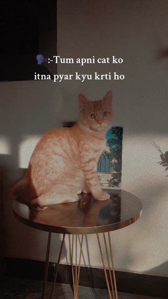 TikTok video thumbnail by brownie_917