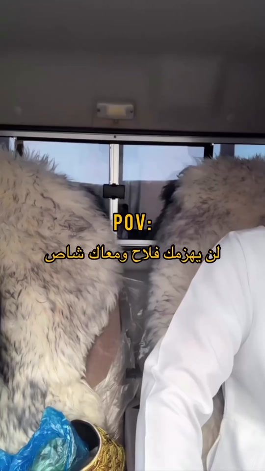 TikTok video thumbnail by i6dd
