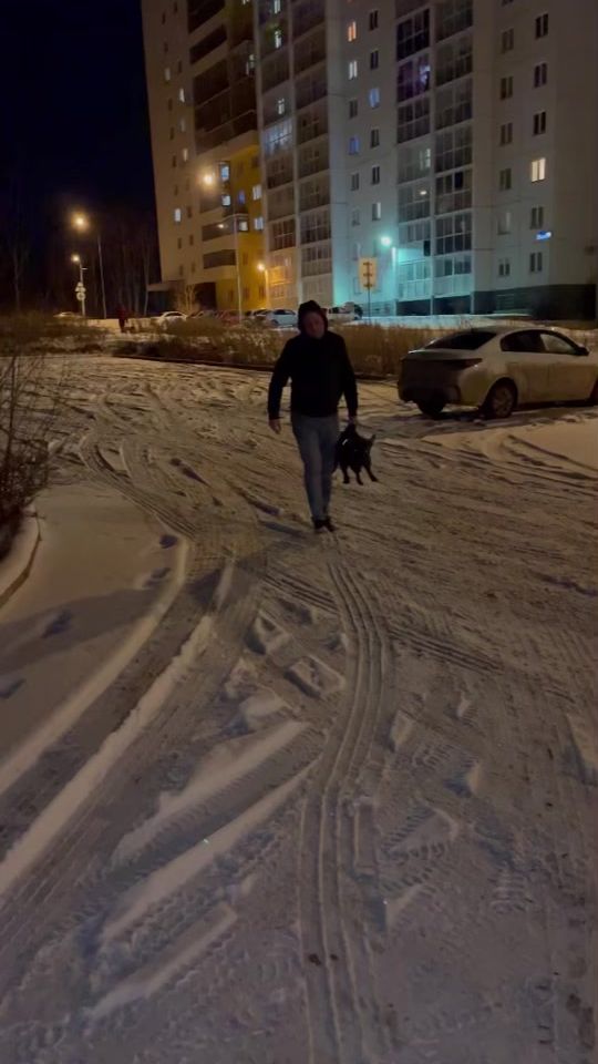 TikTok video thumbnail by frenchman_butch