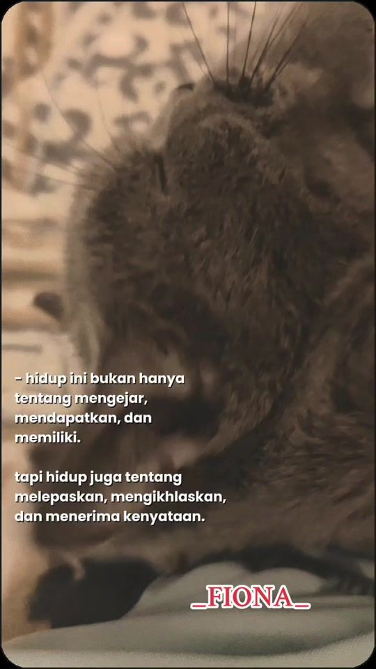TikTok video thumbnail by cikpuansaliena