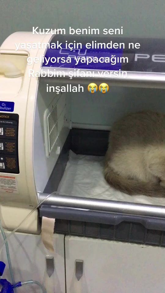 TikTok video thumbnail by 06harunaydin