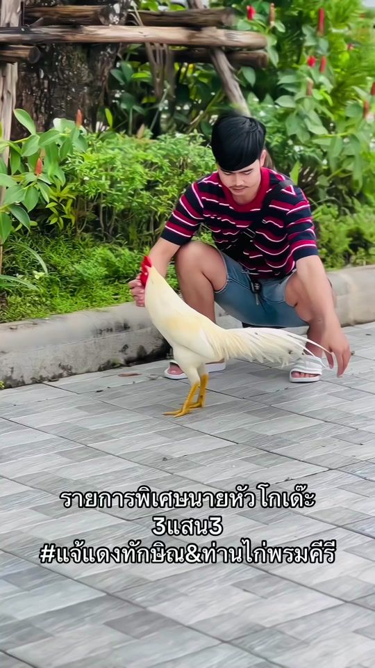 TikTok video thumbnail by bae168bae168