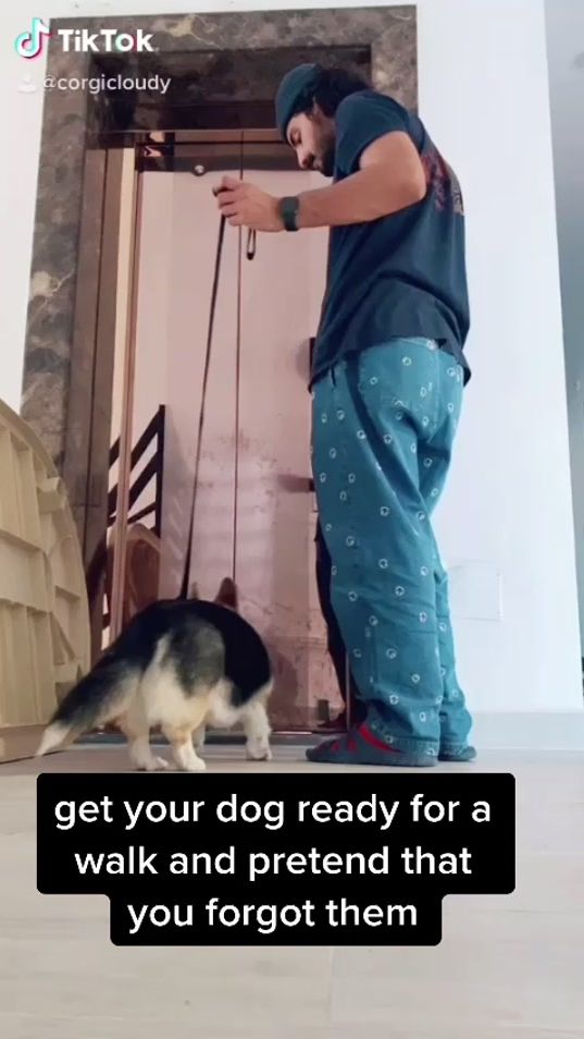 TikTok video thumbnail by potpotpotkw