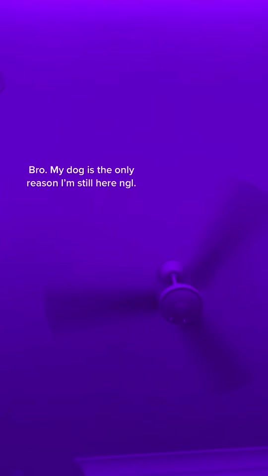 TikTok video thumbnail by pain..hub494