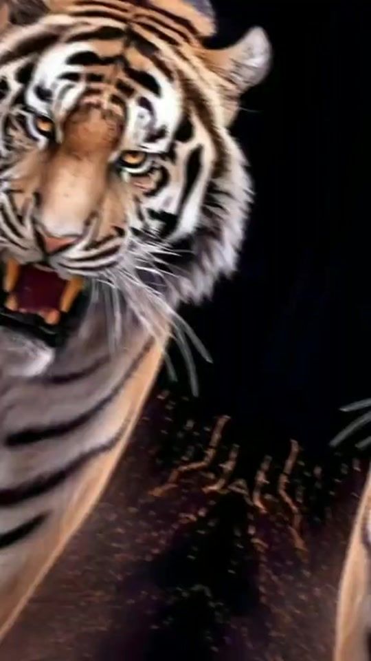 TikTok video thumbnail by nahidhasan200k